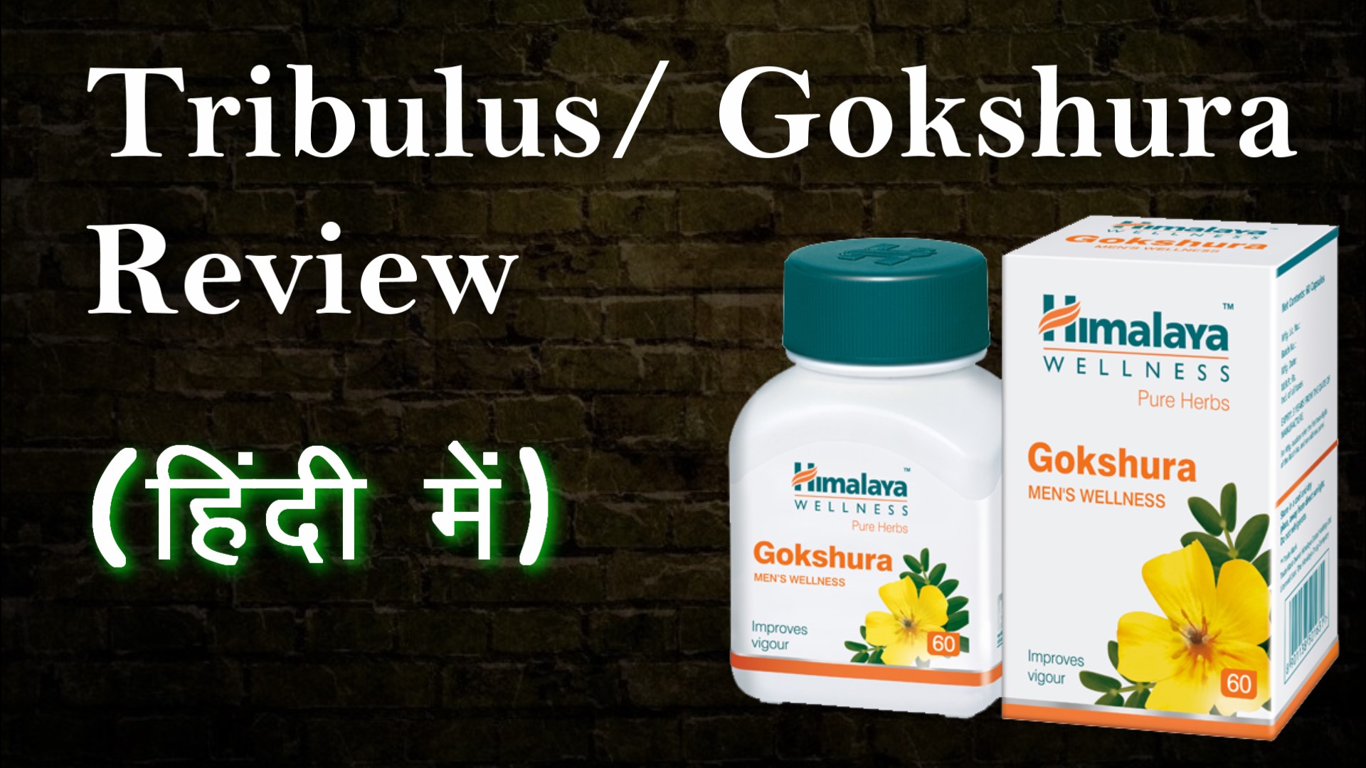 Gokshura as a test booster | Tribulus Review